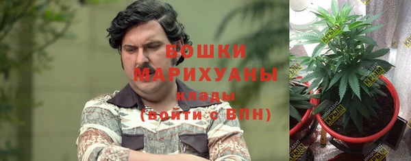 дурь Сатка