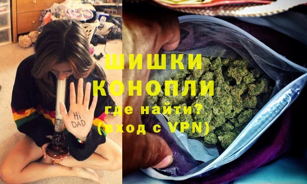 дурь Сатка