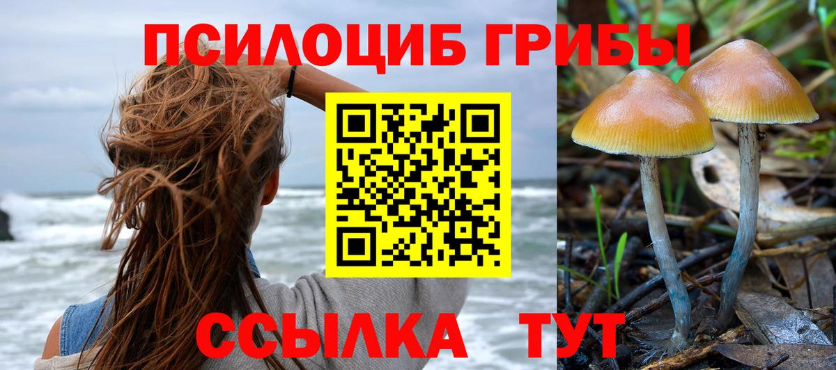 Псилоцибиновые грибы GOLDEN TEACHER Алексин
