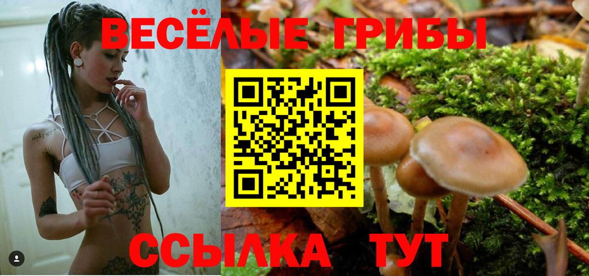 Алексин  Псилоцибиновые грибы Magic Shrooms  купить наркотики сайты  Вход с VPN 