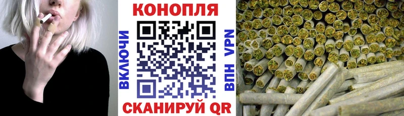 Бошки Шишки AK-47  цены наркотик  Алексин 